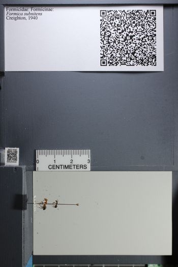 Media type: image;   Entomology 525310